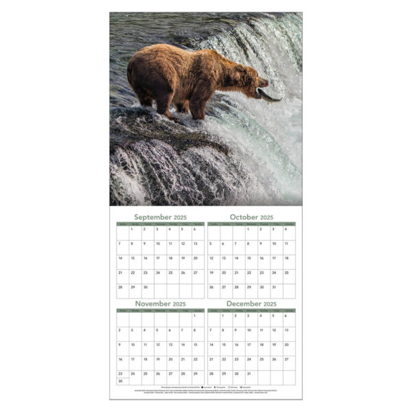 Wildlife kalender 2026 - Afbeelding 2