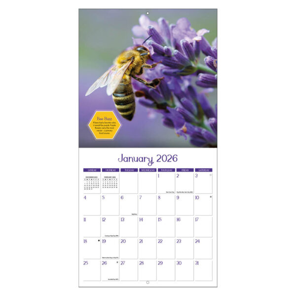Busy Bees kalender 2026 - Afbeelding 3