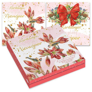 Janneke Brinkman kerstkaartenmapje / Strik - Amaryllis