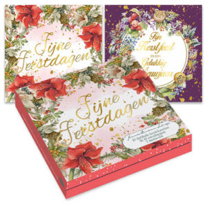 Janneke Brinkman kerstkaartenmapje / Bloempot & roodborstjes - Bloempot & amaryllis