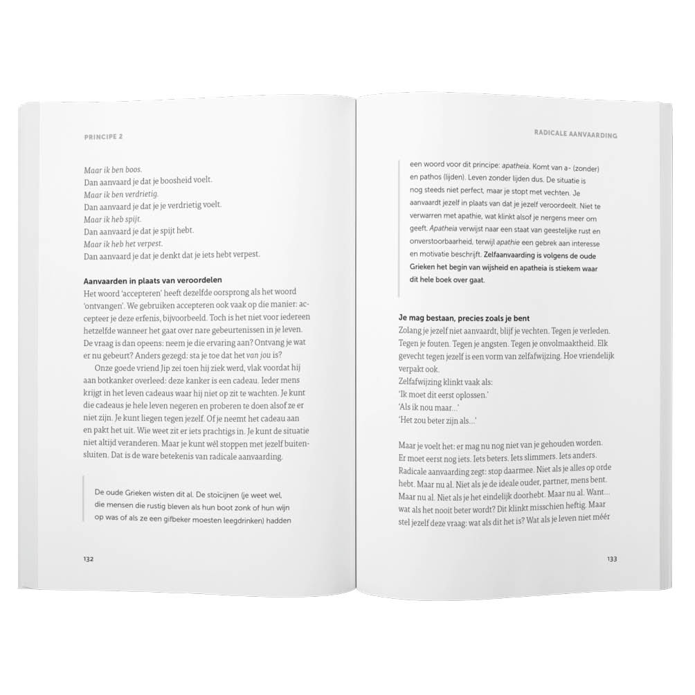 Boek 365 dagen Peace of mind - Afbeelding 3