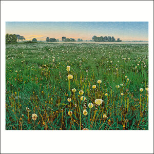 Art Revisited kaarten medium