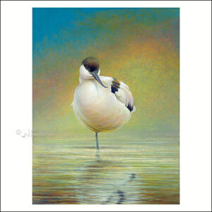 Art Revisited kaarten medium