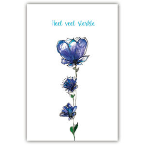 Sympathy/Petit Paris rechthoekige kaarten