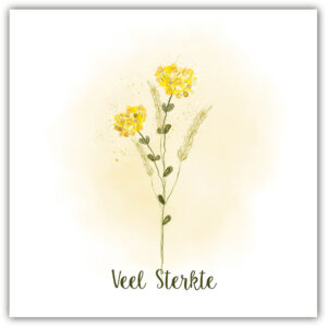 Sympathy/Petit Paris vierkante kaarten