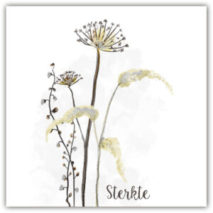 Sympathy/Petit Paris vierkante kaarten