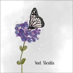 Sympathy/Petit Paris vierkante kaarten