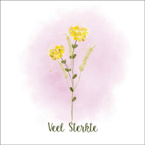 Sympathy/Petit Paris vierkante kaarten