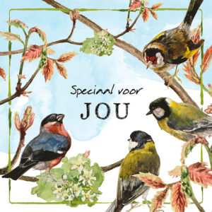 Rien Poortvliet Lang Leve de Boerderij kaarten