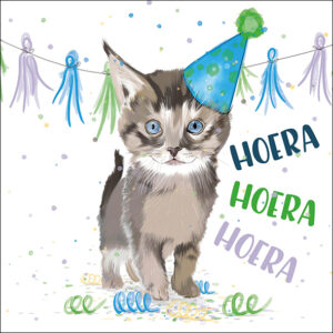 Petit Paris kaart vierkant