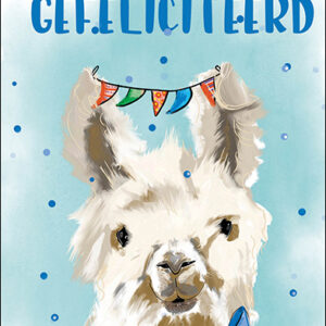 Petit Paris kaart rechthoekig