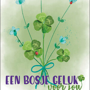 Petit Paris kaart rechthoekig