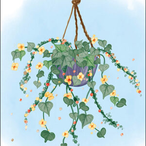 Petit Paris kaart rechthoekig