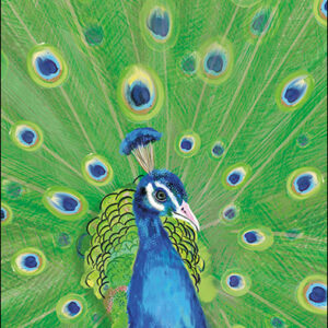 Petit Paris kaart rechthoekig