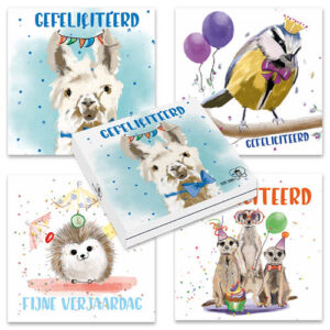 Kaartenmapje Petit Paris - Alpaca