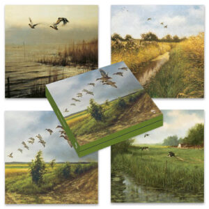 Kaartenmapje Rien Poortvliet Natuur - Vogels