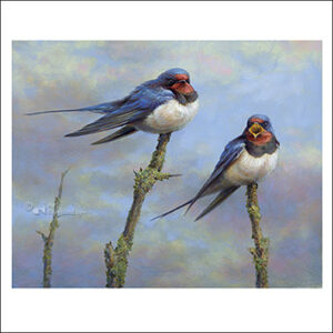 Art Revisited kaarten medium