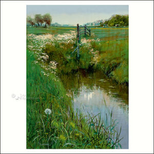 Art Revisited kaarten medium