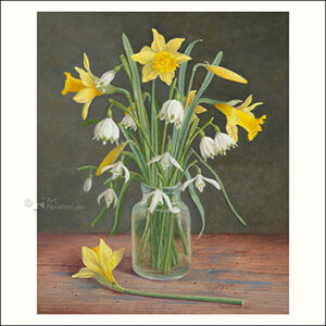 Art Revisited kaarten medium