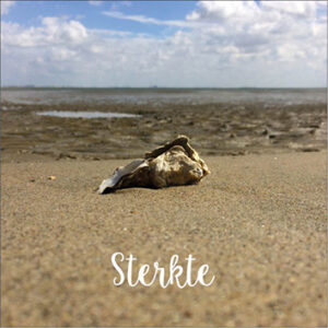 Sympathy/Petit Paris vierkante kaarten