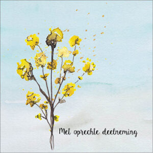 Sympathy/Petit Paris vierkante kaarten