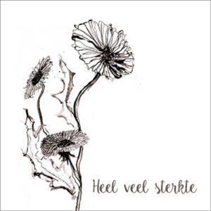 Sympathy/Petit Paris vierkante kaarten