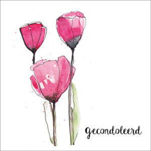 Sympathy/Petit Paris vierkante kaarten