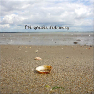 Sympathy/Petit Paris vierkante kaarten