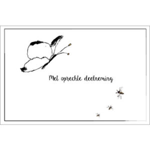 Sympathy/Petit Paris rechthoekige kaarten (liggend)