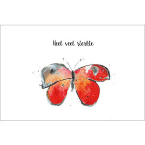 Sympathy/Petit Paris rechthoekige kaarten (liggend)