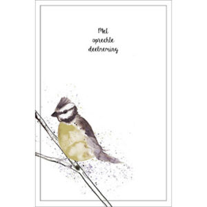 Sympathy/Petit Paris rechthoekige kaarten (staand)