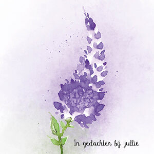 Sympathy/Petit Paris vierkante kaarten