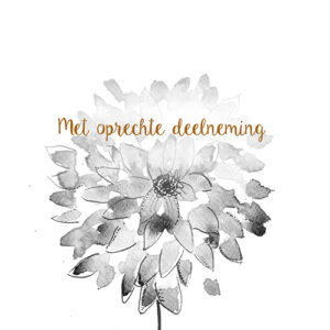 Sympathy/Petit Paris vierkante kaarten