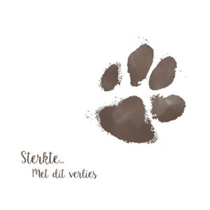 Sympathy/Petit Paris vierkante kaarten