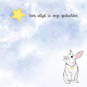 Sympathy/Petit Paris vierkante kaarten