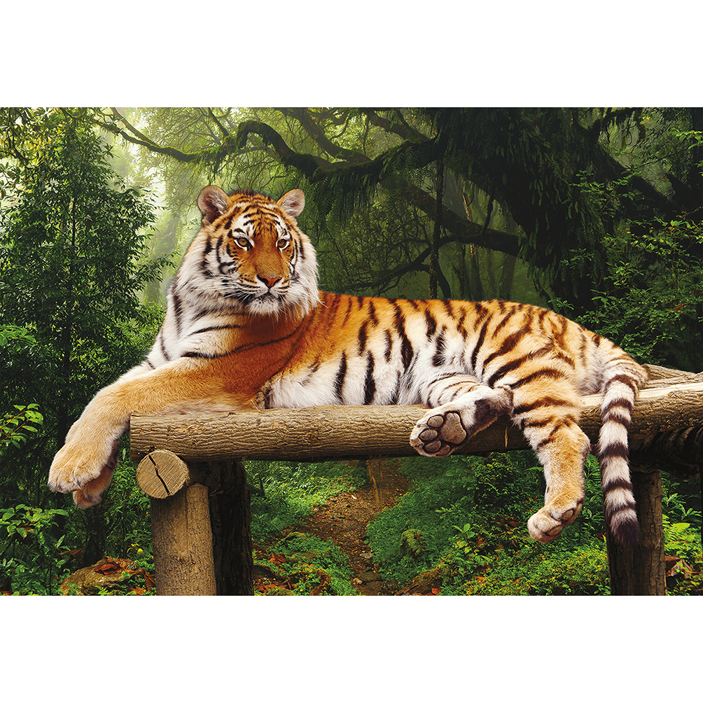 Puzzel Majestic Tiger - Afbeelding 4