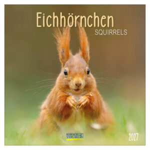 Squirrels kalender 2027