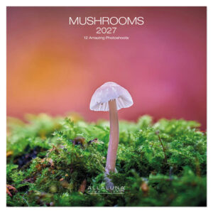 Mushrooms kalender 2027