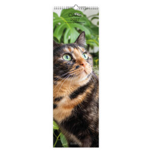 Cats Slimline kalender 2027