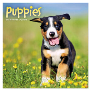 Puppies kalender 2027