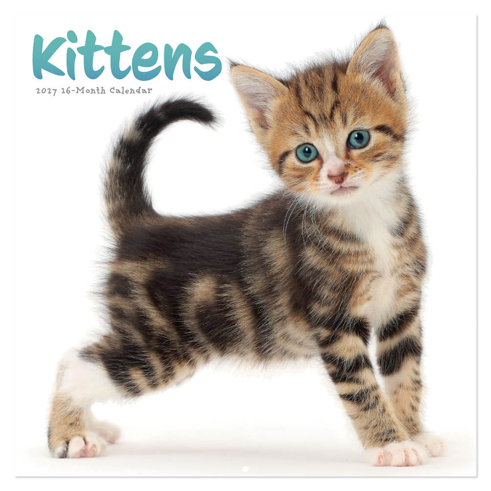 Kittens kalender 2027