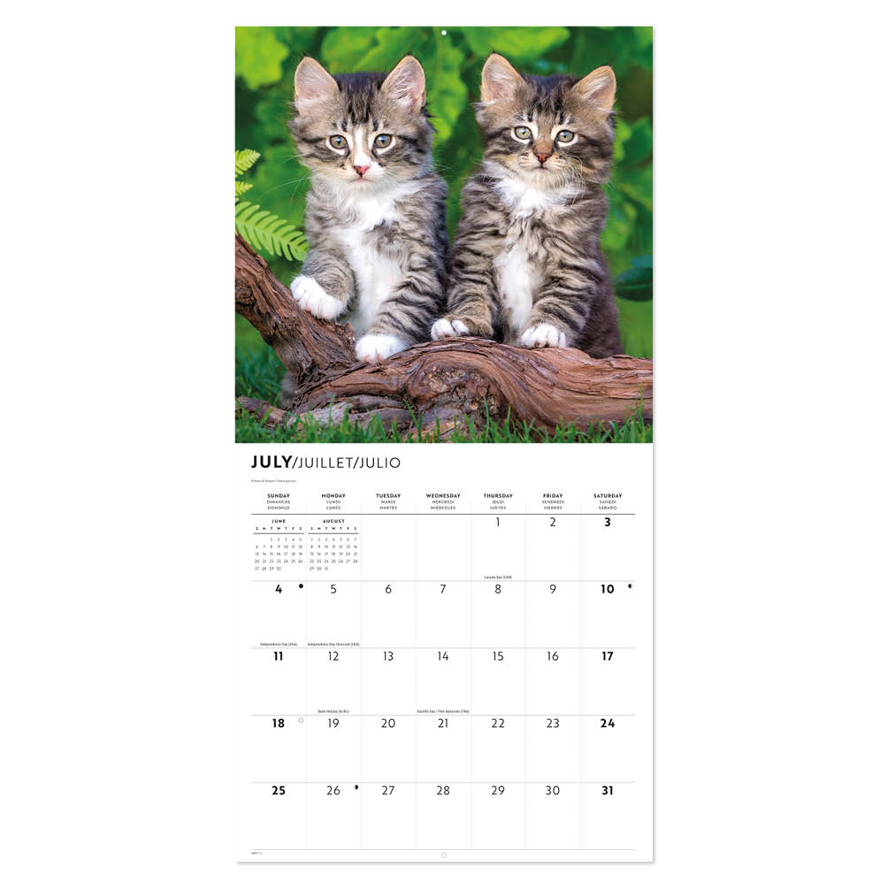 Kittens kalender 2027 - Afbeelding 3