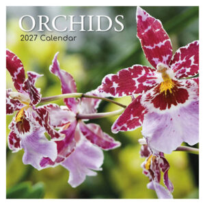 Orchids kalender 2027