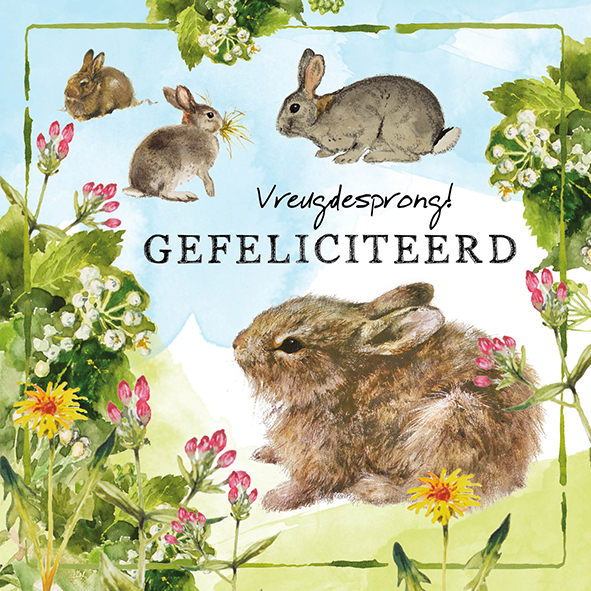 Rien Poortvliet Lang Leve de Boerderij kaarten