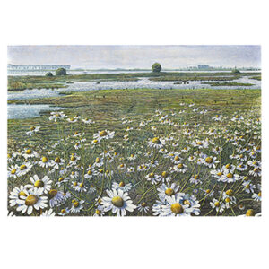 Art Revisited kaarten medium