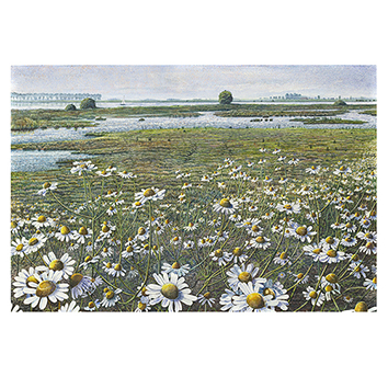 Art Revisited kaarten medium
