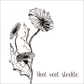 Sympathy/Petit Paris vierkante kaarten