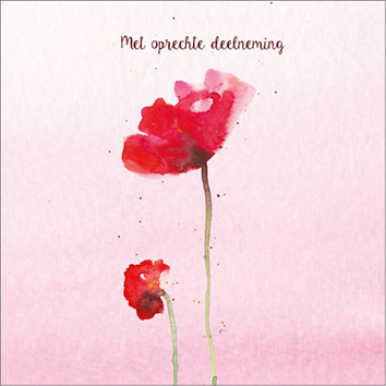 Sympathy/Petit Paris vierkante kaarten