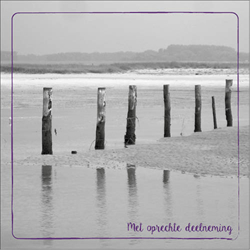 Sympathy/Petit Paris vierkante kaarten