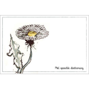Sympathy/Petit Paris rechthoekige kaarten (liggend)